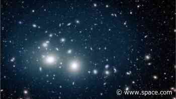 Euclid space telescope finds 1.5 trillion orphan stars wandering the Perseus cluster (images)