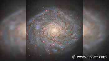 Bejeweled galaxy of 'Bernice's Hair' sparkles in new Hubble Telescope photo