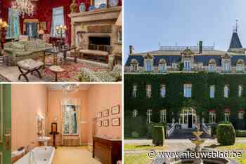 BINNENKIJKEN. Zestien slaapkamers, een wijnkelder en een lift: kasteel en domein van 8,5 hectare staan te koop