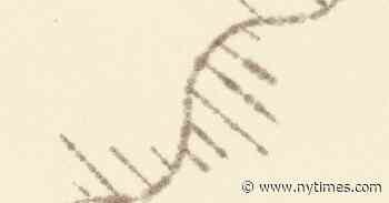 The Long-Overlooked Molecule That Will Define a Generation of Science