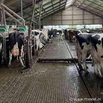 Overijssel zet nieuwe landbouwplannen in de ijskast: "Afwachten wat Den Haag doet"