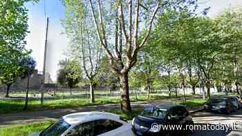 Addio agli alberi, dopo gli olmi l’Esquilino saluta anche le querce ed i platani