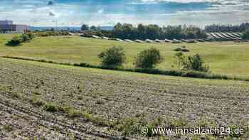 Boom der Solarenergie – PV-Anlage in Mühldorfs Norden soll wachsen