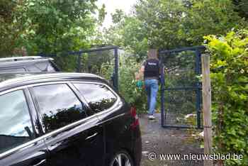 Cannabisplantage met meer dan 1.200 planten opgedoekt in Asse: “We wisten al drie jaar dat er iets niet pluis was”