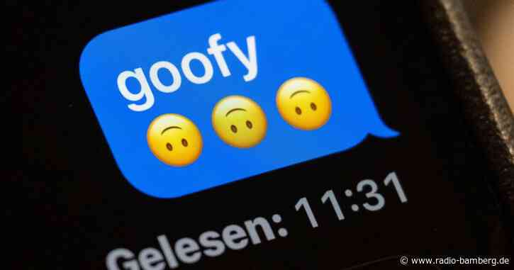 «Jugendwort des Jahres»: Was folgt auf «goofy»?
