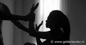 Seks in de koelcel en in het weiland: hondencoach beschuldigd van verkrachting stagiaires (16 en 17)