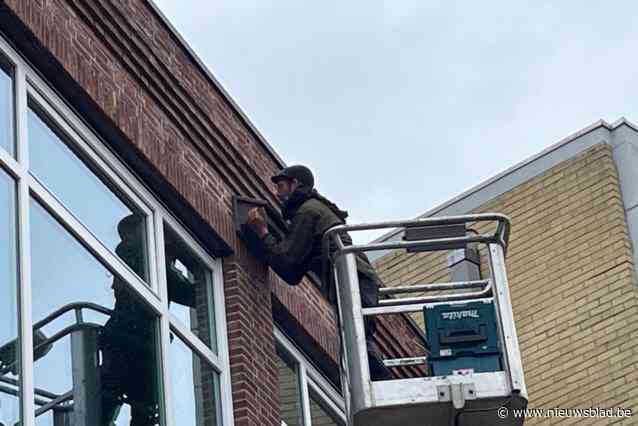 Spes Nostra Heule krijgt zes gierzwaluwnestbakken