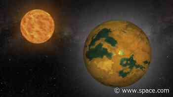 Real-life 'Star Trek' planet was actually just an illusion caused by a 'jittery' star