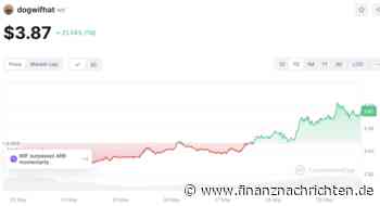 Krypto News: Dogwifhat +20 %, PlayDoge erreicht 250.000 $