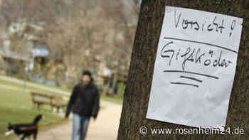 Hund verschluckt Giftköder in Hausham – Polizei sucht Täter