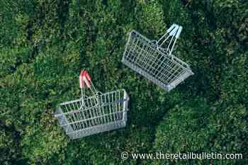 What Is Sustainability in the Retail Industry?