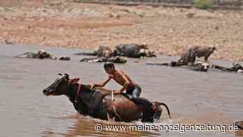 Über 50 Grad in Indiens Hauptstadt