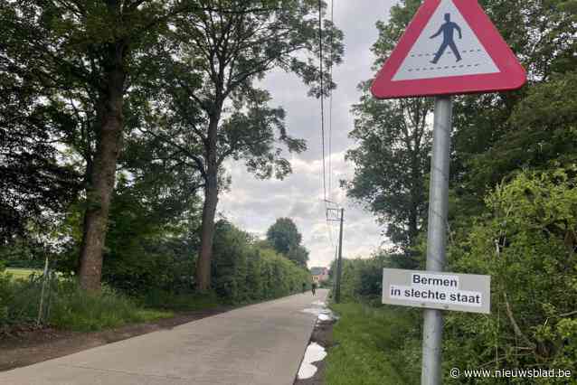 “Chauffeurs rijden wagen stuk in die putten en buren denderen uit bed”: Bestuur erkent probleem Bistweg, maar hekelt onhoffelijk rijgedrag
