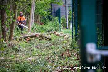 Blindgängersuche: Arbeiten sollen nun weitergehen