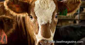 Good biosecurity practices can help keep HPAI out of Iowa herds