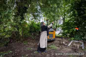 Wilg moet tegen de grond maar Marie (66) houdt graafmachine tegen: “Alsof je een beschermde woning neerhaalt”