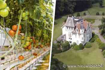 De tomatenfamilie die een kasteeldomein van 17 miljoen koopt
