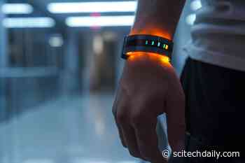 Sweat Smart: New Biomarker Tech Revolutionizes Health Monitoring