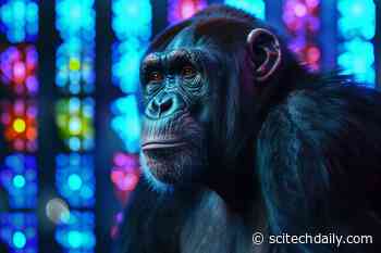 Surprising Evolutionary Insights Revealed by First Complete Chromosome Sequences From Great Apes