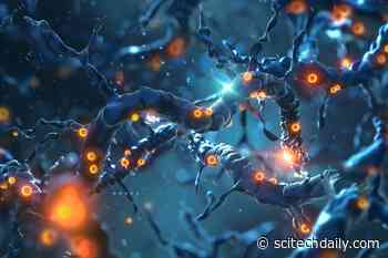 A “Game-Changer” – Groundbreaking Discovery Paves Way for ALS Cure