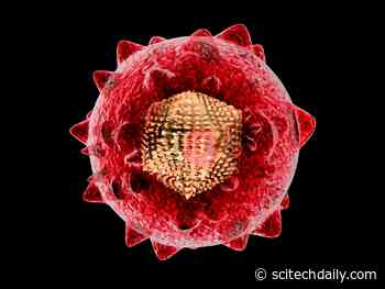 Scientists May Have Discovered an Achilles Heel for Hepatitis B