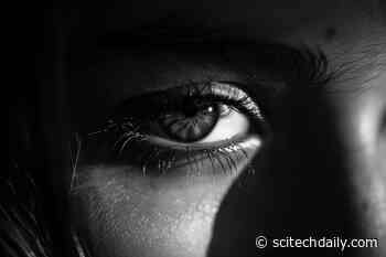 Johns Hopkins Scientists Solve 30-Year Biological Mystery of Night Blindness