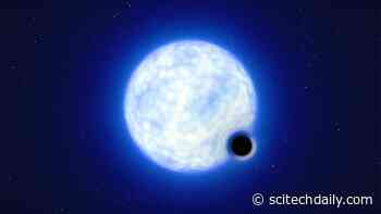 Vanishing Without a Trace: Why Stars Mysteriously Disappear From the Night Sky