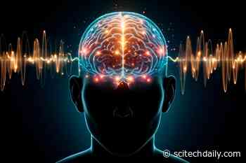 The Frequencies of Cognition: Exploring How Our Brains Differentiate Sounds