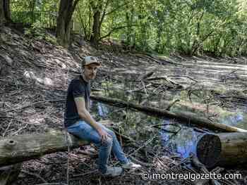 Pierrefonds-Roxboro still waiting for repairs on dike after 2017 flooding