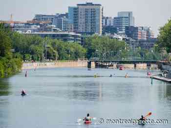 Montreal weather: Dare we say hot and humid?
