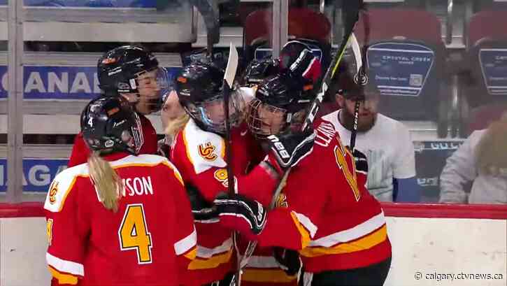Josh Gosling named new head coach for University of Calgary Dinos women's hockey program