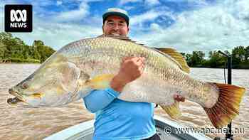 Giant fish regularly landed near the CBD in Australia's 'barra capital'