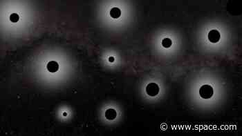If the Big Bang created miniature black holes, where are they?