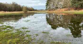 Wet UK weather map sparks £25,000 handouts for households with farms