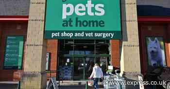 Weak sales and rising costs send Pets At Home's profits sliding