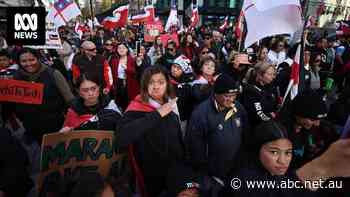 'I believe we're on the edge of a revolution': While the NZ government delivered its budget, protests were sweeping the nation