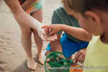 5 little-known illegal activities to avoid on UK beaches