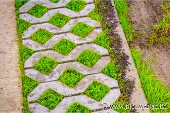 Sint-Erasmusstraat krijgt meer groen: werken van start op 12 juni