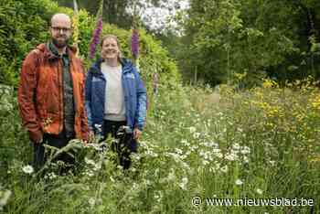 Excursiedag zet belang van natuurtuinen in de kijker: “Mensen mogen gerust minder in hun tuin werken”