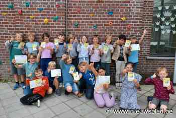 Leerlingen halen probleemloos hun verkeersbrevet