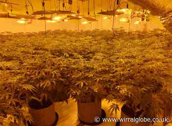 Police crackdown on crime in Moreton after drug and theft offences