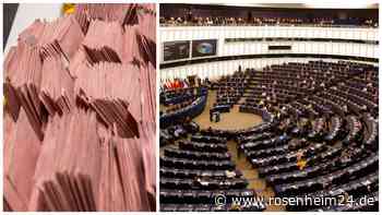 Europawahl am 9. Juni – So hat die Region vor fünf Jahren gewählt