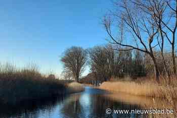 Zwin krijgt eigen parkbureau in kader van erkenning landschapspark: “Zitten op schema”