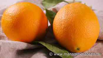 Apfelsinen-Saft: Preisrallye und Knappheit bei Orangen versetzt Saftanbieter in Aufruhr