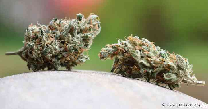Cannabis-Gesetz: Unions-Justizminister verlangen Änderungen