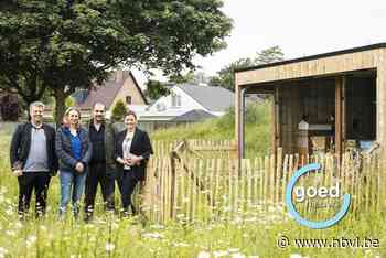 Asster plaatst bijenhotel op campus: “Een duurzame, groene omgeving bevordert welzijn van patiënten”