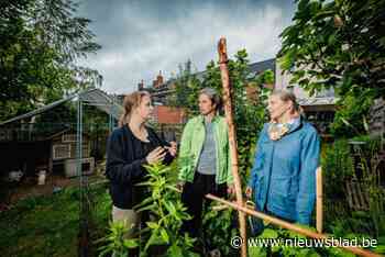 Opentuindagen laten je de aardappeltoren van Nele ontdekken: “Kleine tuin, dus probeer ik in de hoogte te werken”