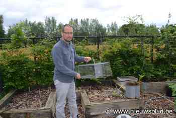 Igor (45) en zijn buren kampen met ernstige plaag van ratten en ze uitroeien is niet simpel