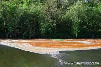 Bedrijf reageert voor het eerst na lozingen kippenvet Oude Leiearm: “Begrijpen de zorgen en doen extra investeringen”