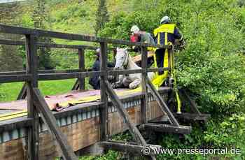 POL-PDTR: Verunglücktes Pferd im Wadrilltal